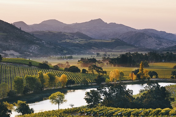 Quintessa vyd 1